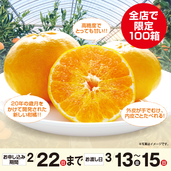 佐賀県産 JAグループ佐賀  にじゅうまる