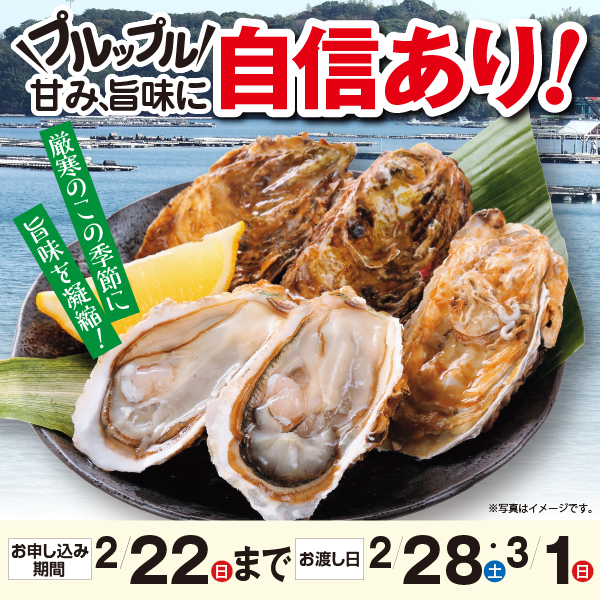 三重県産　浦村の殻付きかき（加熱用）