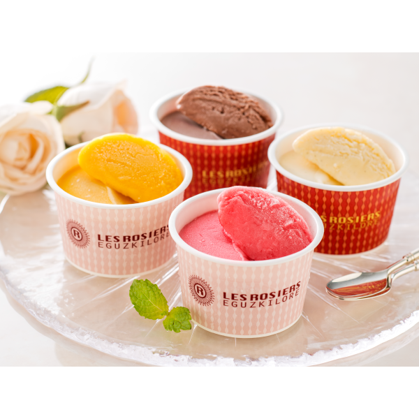 銀座京橋 レ ロジェ エギュスキロール　銀座アイスバラエティ　AH-RG8