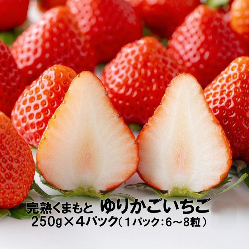 熊本県産他　ゆりかご入りいちご　約２５０ｇ×４パック