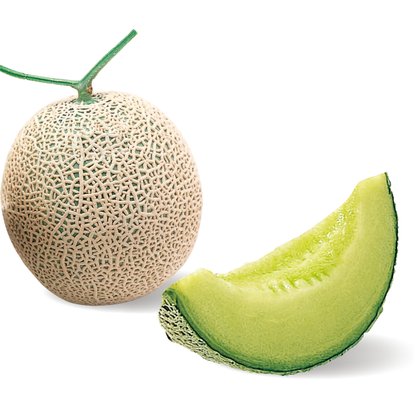 〔フルーツ〕高知県産など アールスメロン(青肉）
