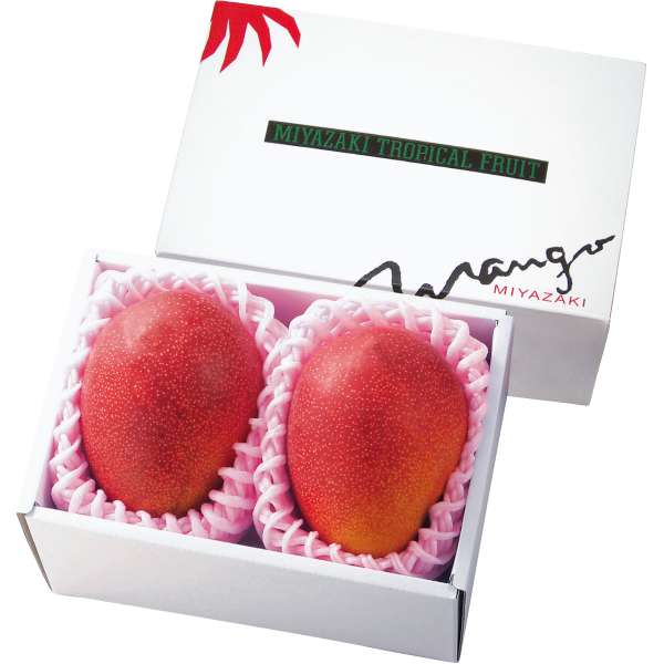 〔フルーツ〕宮崎県産完熟マンゴー