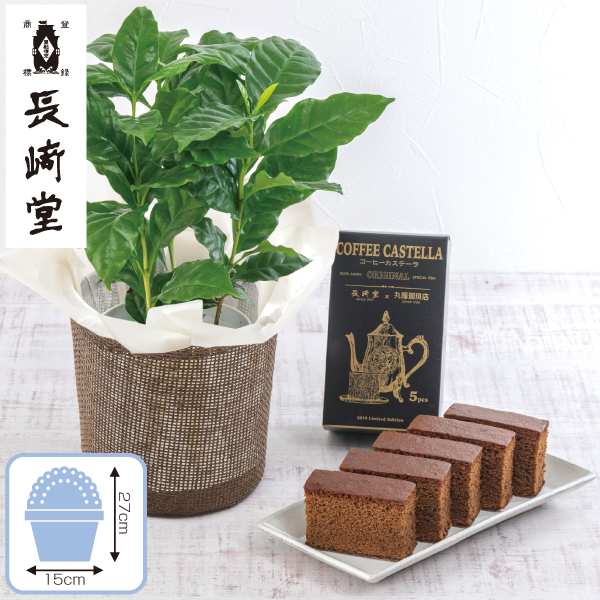 コーヒーの木・長﨑堂「珈琲カステーラ」