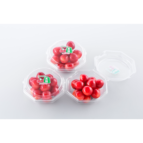 山形県産　ハウスさくらんぼ（佐藤錦）