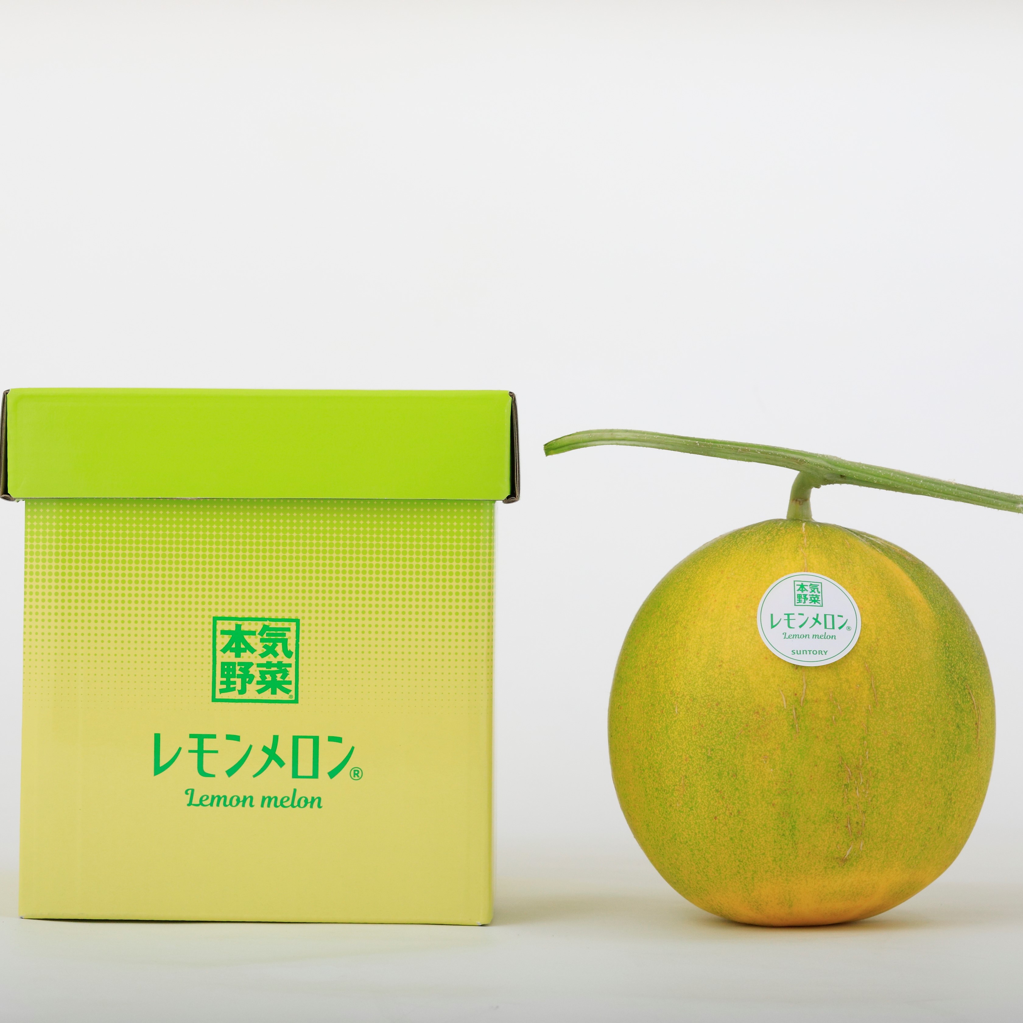 サントリーフラワーズ　北海道産レモンメロン １個入り（1.5kg～2㎏）