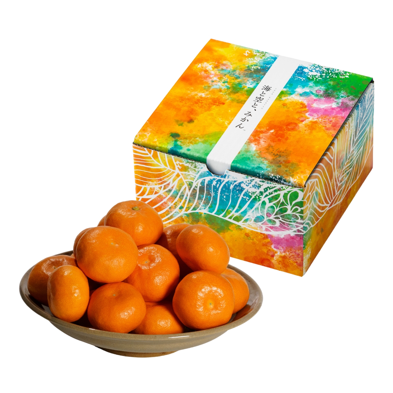 【農家直送】大場農園　　佐賀県産　夏織　ハウスみかん　特秀品　1.3㎏
