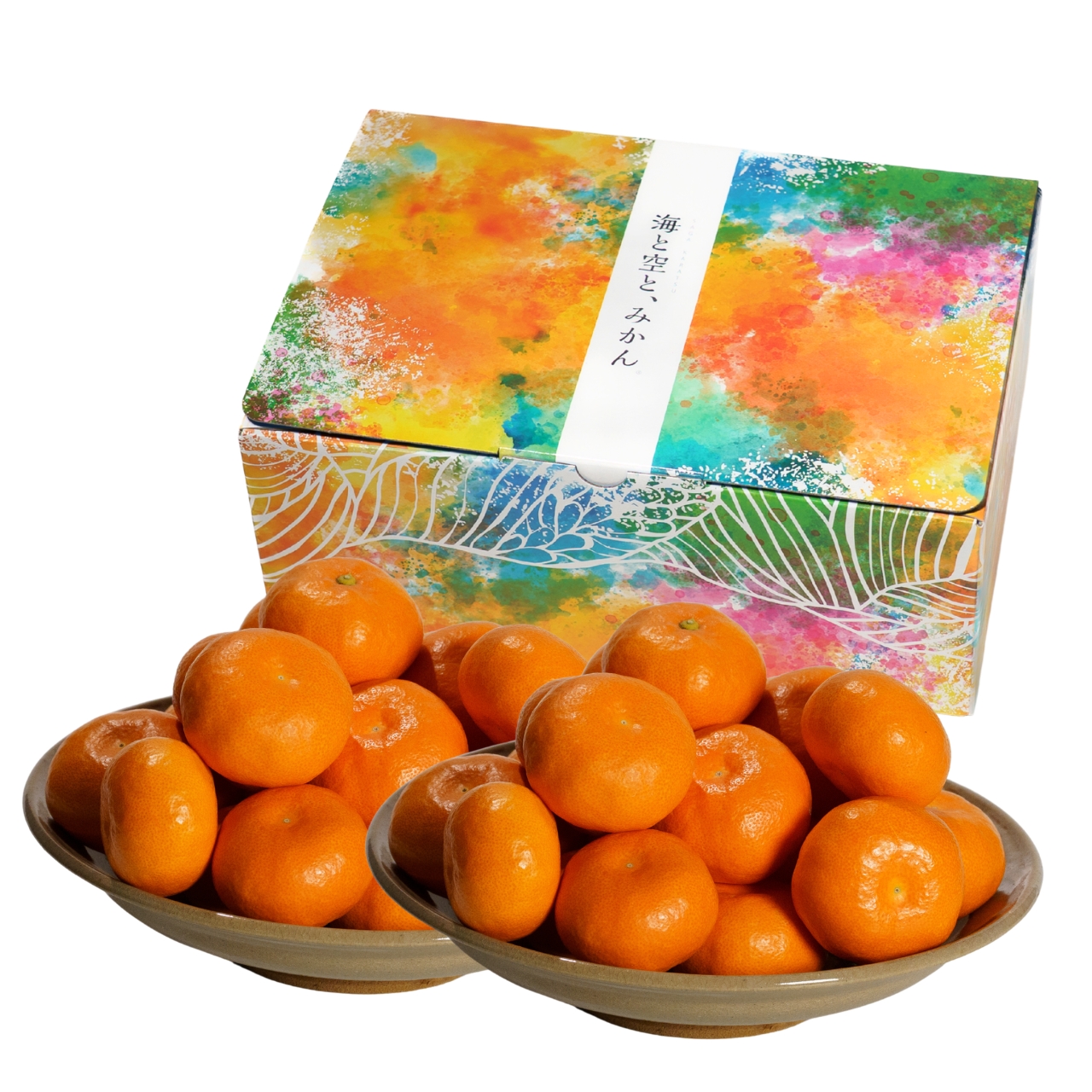 【農家直送】大場農園　佐賀県産　夏織　ハウスみかん　特秀品　2.5㎏
