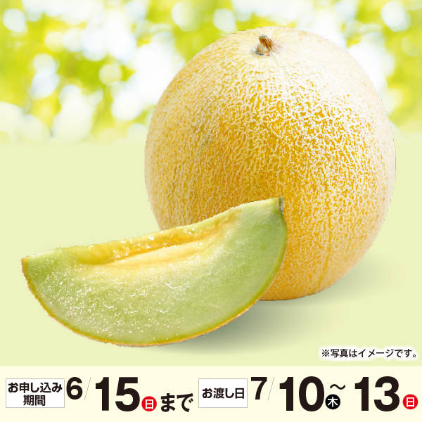 青森県産　アムさんメロン【秀品】1玉入