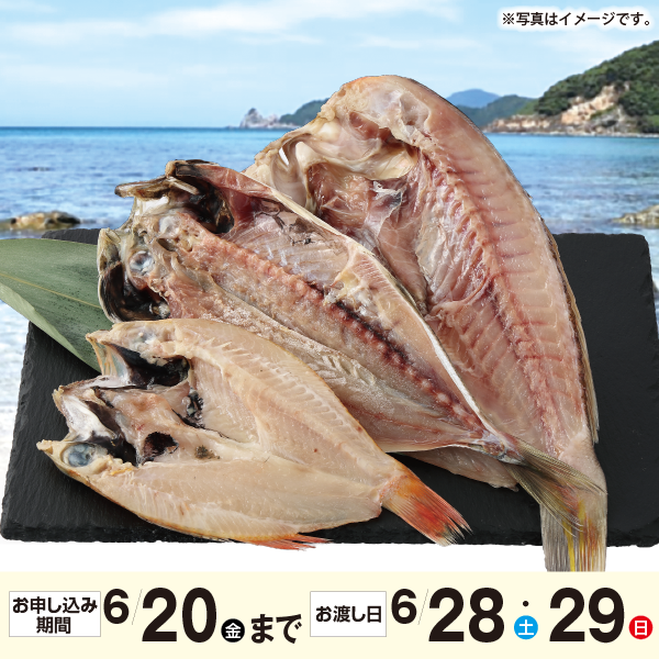 山口県 瀬付きあじと萩の干物セット