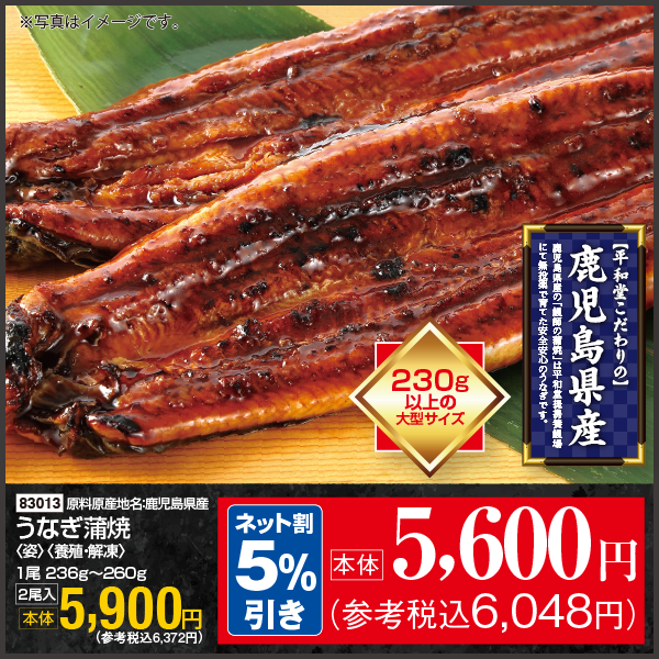 【7月18・19日受取】鹿児島県産　うなぎ蒲焼〈姿〉〈養殖・冷凍〉1尾236g～260g　2尾入