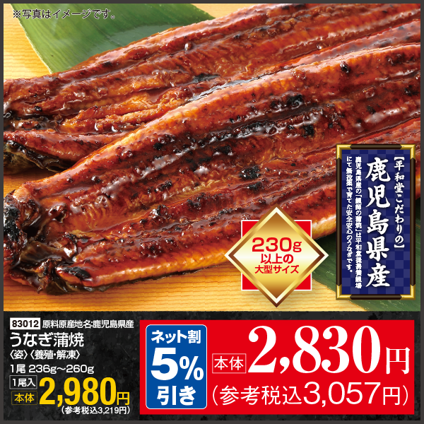 【7月31日受取】鹿児島県産　うなぎ蒲焼〈姿〉〈養殖・冷凍〉1尾236g～260g　1尾入