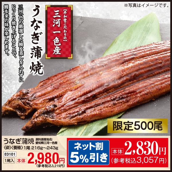 【7月18・19日受取】愛知県三河一色産　うなぎ蒲焼〈姿〉〈養殖・解凍〉1尾入　216g～243g