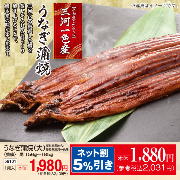 【7月24～26日受取】愛知県三河一色産　うなぎ蒲焼（大）〈養殖〉1尾156g～185g　1尾入