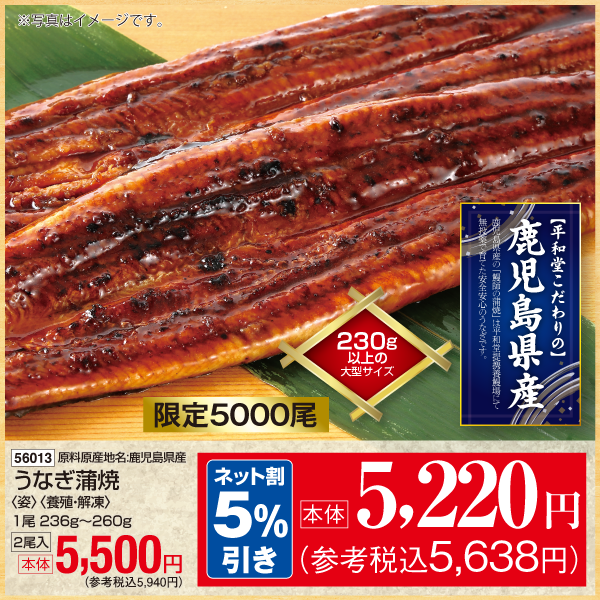 【7月24～26日受取】鹿児島県産　うなぎ蒲焼〈姿〉〈養殖・解凍〉1尾236g～260g　2尾入