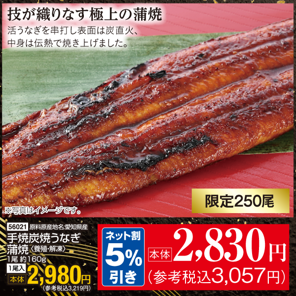 【7月24～26日受取】愛知県産　手焼き炭火焼うなぎ蒲焼〈養殖・解凍〉1尾約160ｇ　1尾入