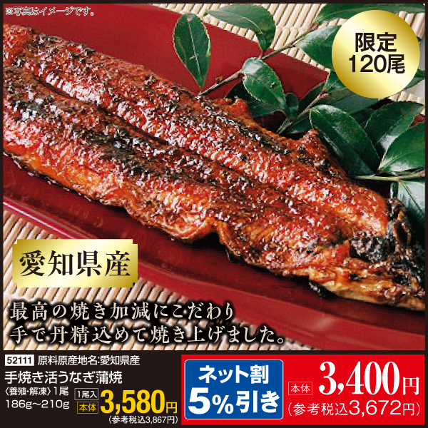 【8月5日受取】愛知県産　手焼き活うなぎ蒲焼〈養殖・解凍〉1尾 186ｇ～210ｇ