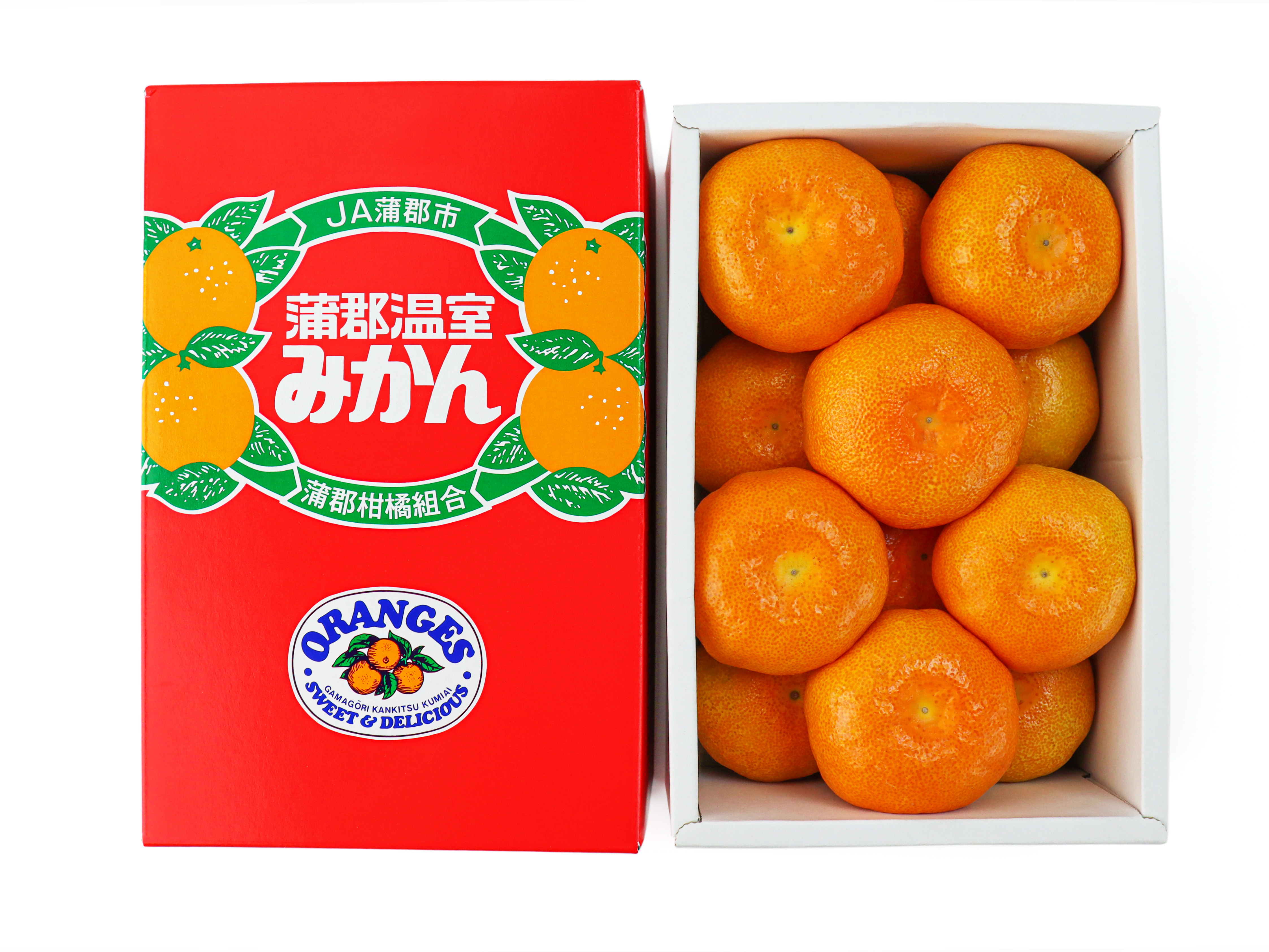 愛知県産ＪＡ蒲郡市　ハウスみかん　Ｍ～２Ｓサイズ　１．２ｋｇ