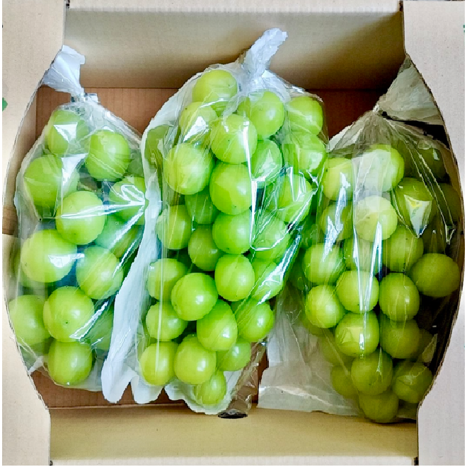 山梨県産　甲斐の里グループ   シャインマスカット‘‘１ｋｇ（路地）