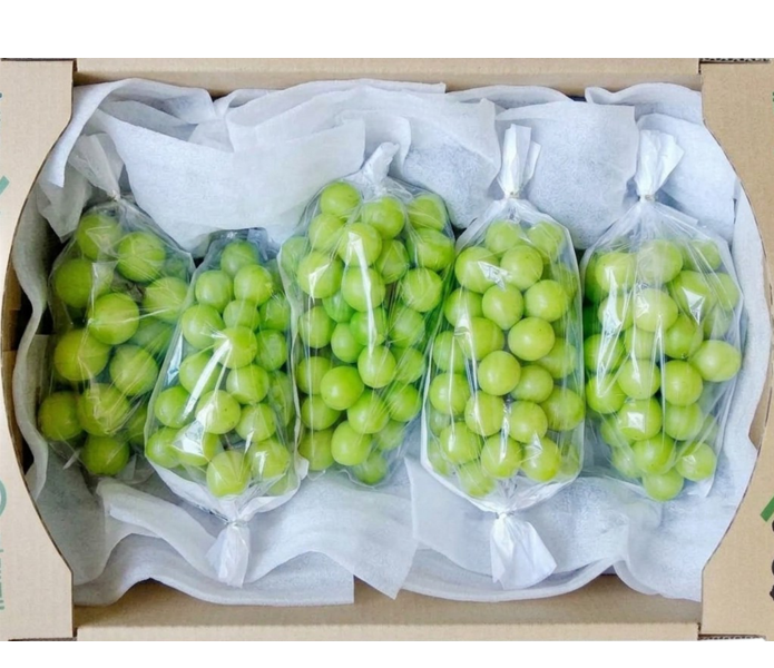山梨県産　甲斐の里グループ  シャインマスカット‘‘２ｋｇ（路地）