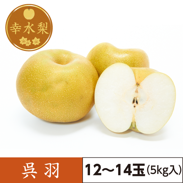 幸水梨　呉羽（12～14玉）5kg