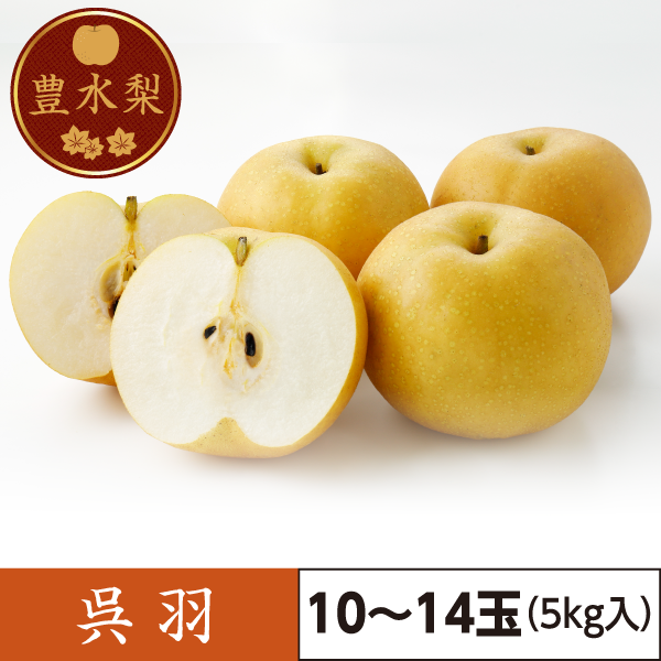 豊水梨　呉羽（10～14玉）5kg