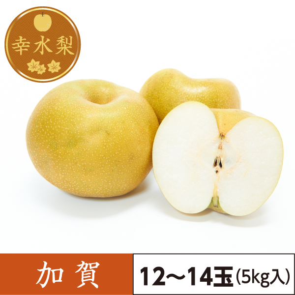 幸水梨　加賀（12～14玉）5kg