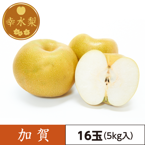 幸水梨　加賀（16玉）5kg