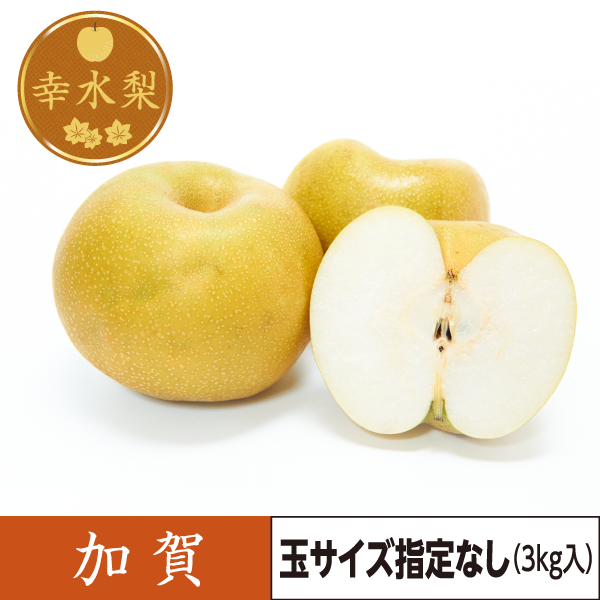 幸水梨　加賀（玉サイズ指定なし）3kg