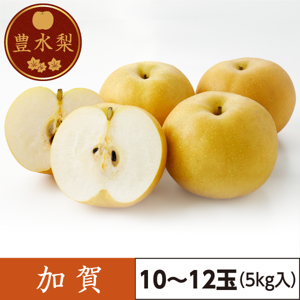 豊水梨　加賀（10～12玉）5kg