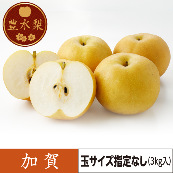 豊水梨　加賀（玉サイズ指定なし）3kg