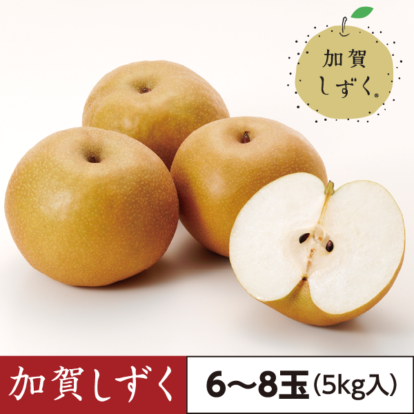 加賀しずく（6～8玉）5kg