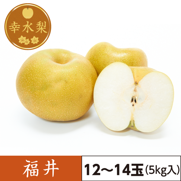 幸水梨　福井（12～14玉）5kg