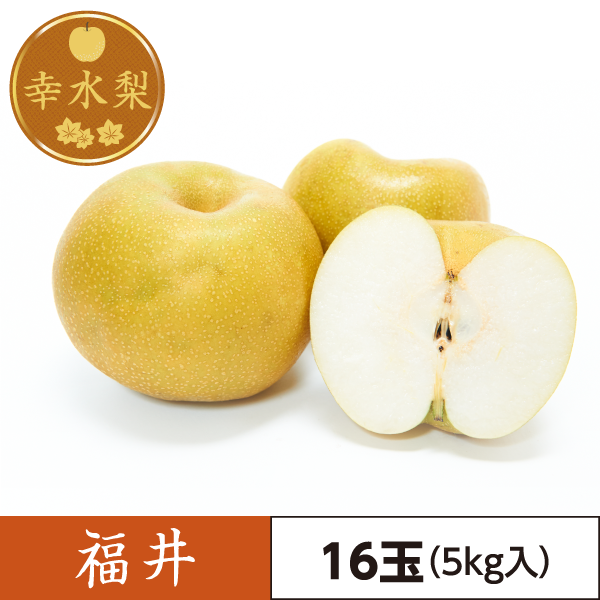 幸水梨　福井（16玉）5kg