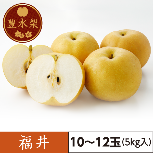 豊水梨　福井（10～12玉）5kg