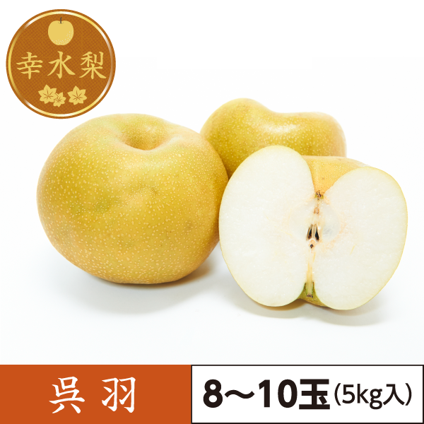 幸水梨　呉羽（8～10玉）5kg