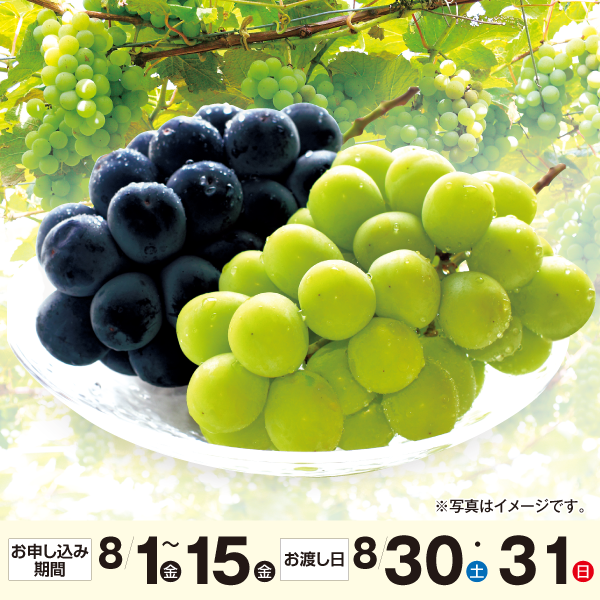 山梨県産　ピオーネとシャインマスカット詰め合わせ