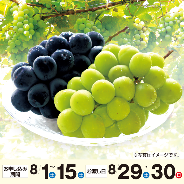 山梨県産　ピオーネとシャインマスカット詰め合わせ