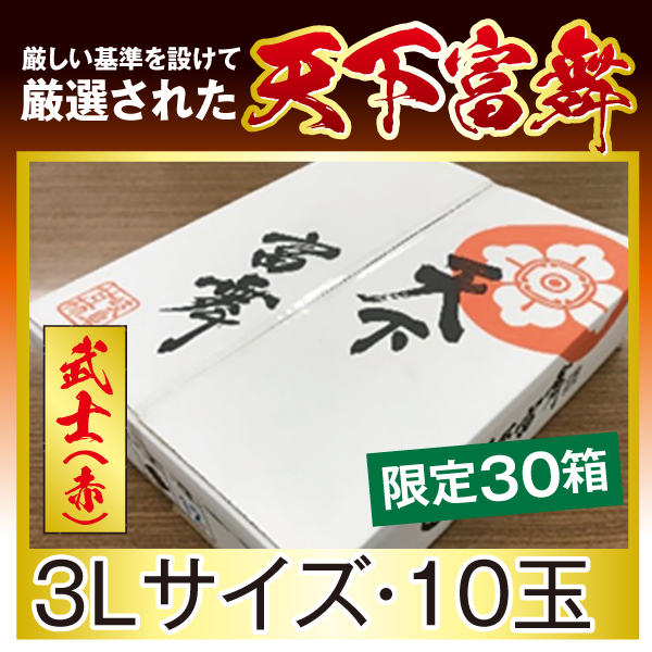 天下富舞　【武士(赤)】　３Ｌサイズ・１０玉