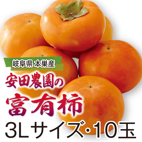 岐阜県本巣産　安田農園の富有柿　3Lサイス・10玉