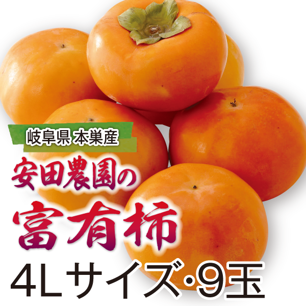 岐阜県本巣産　安田農園の富有柿　4Lサイズ・9玉