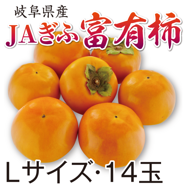 岐阜県産　JAぎふ富有柿　Lサイズ・14玉