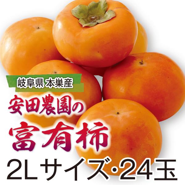 岐阜県本巣産　安田農園の富有柿　2Lサイズ・24玉