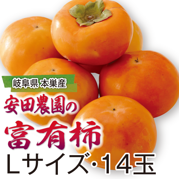 岐阜県本巣産　安田農園の富有柿　Lサイズ・14玉