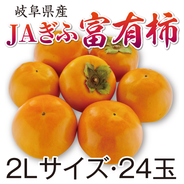 JA岐阜　富有柿　2Lサイズ・24玉