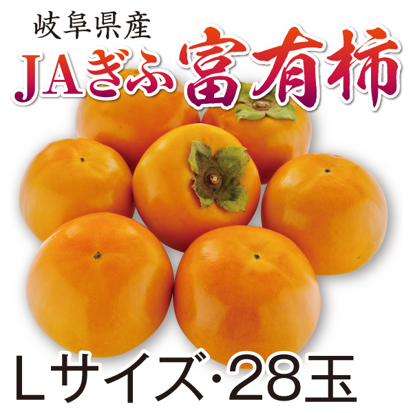 JA岐阜　富有柿　Lサイズ・28玉