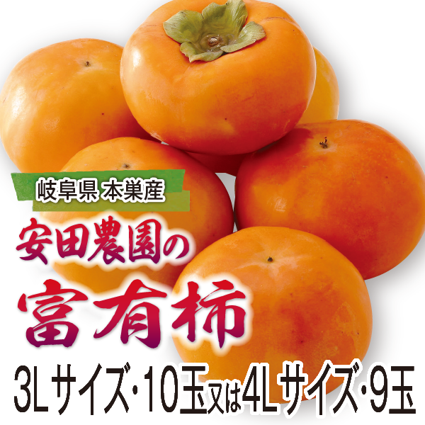 岐阜県本巣産　安田農園の富有柿　3Lサイス・10玉又は4Lサイズ・9玉