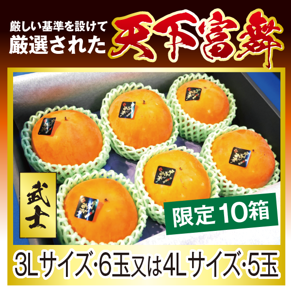 天下富舞　【武士】　3Lサイズ・6玉又は4Lサイズ・5玉