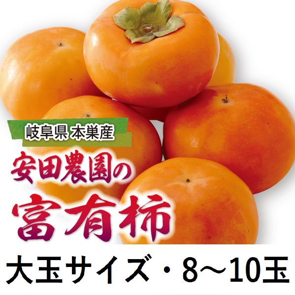 岐阜県本巣産　安田農園の富有柿　大玉サイズ・8～10玉