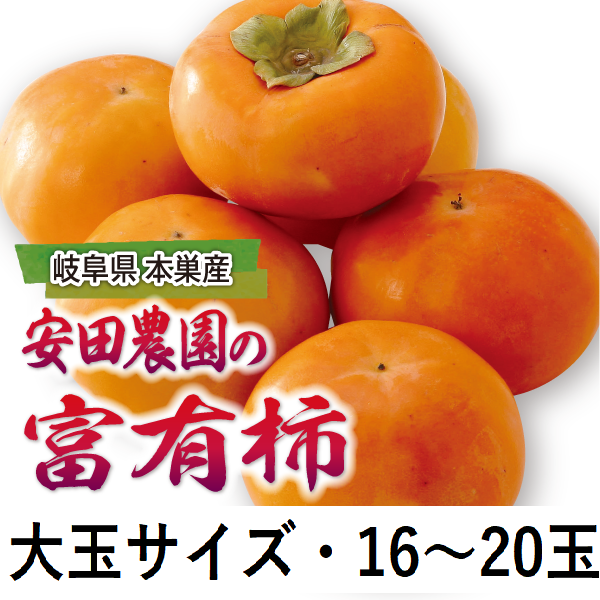 岐阜県本巣産　安田農園の富有柿　大玉サイズ・16～20玉