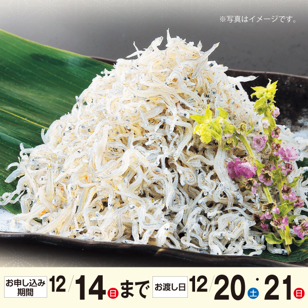 秋獲れ!!新物篠島のしらす干